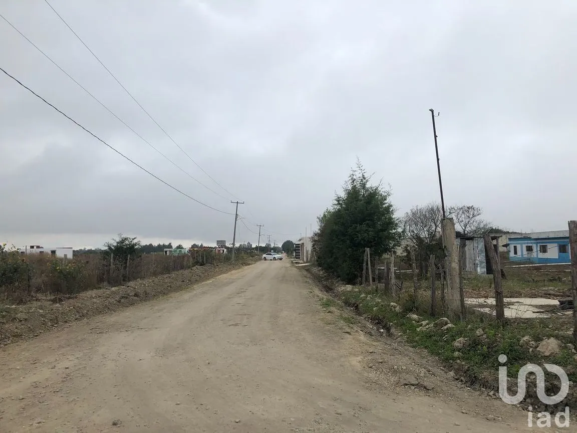 Terreno en Venta en Jatón, Comitán de Domínguez, Chiapas | NEX-270282 | iad México | Foto 18 de 36