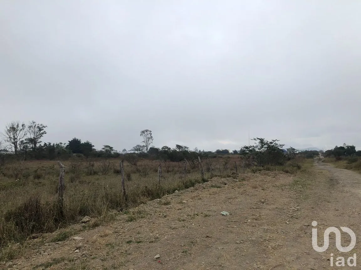 Terreno en Venta en Jatón, Comitán de Domínguez, Chiapas | NEX-270282 | iad México | Foto 23 de 36