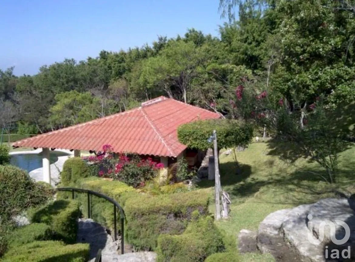 Terreno en Venta en San Francisco, Comitán de Domínguez, Chiapas | NEX-270288 | iad México | Foto 3 de 28