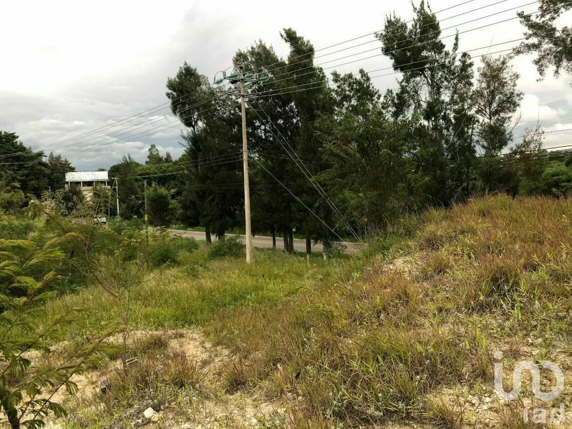 Terreno en Renta en Chichima Guadalupe, Comitán de Domínguez, Chiapas | NEX-270294 | iad México | Foto 12 de 17