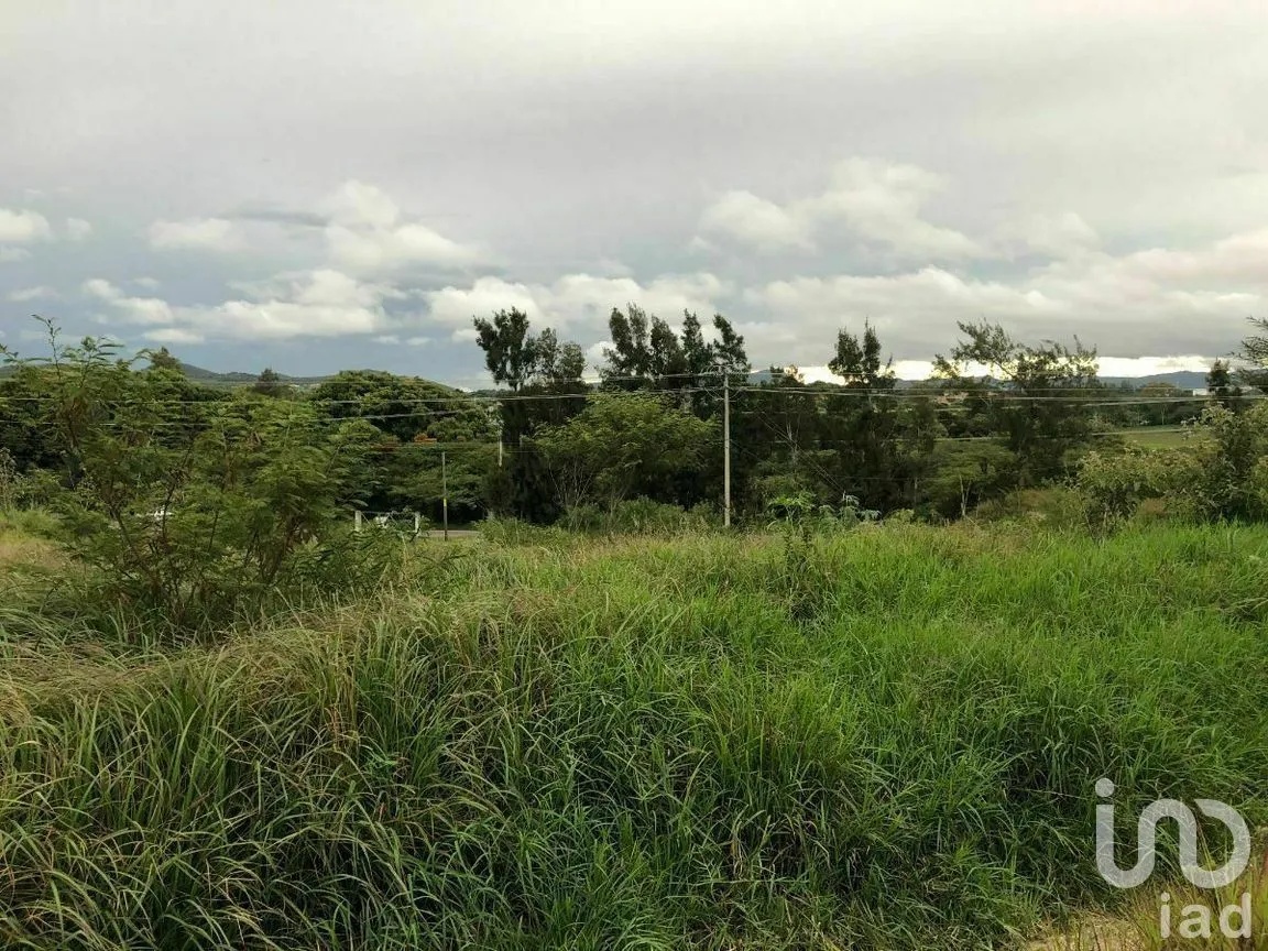 Terreno en Renta en Chichima Guadalupe, Comitán de Domínguez, Chiapas | NEX-270294 | iad México | Foto 14 de 17