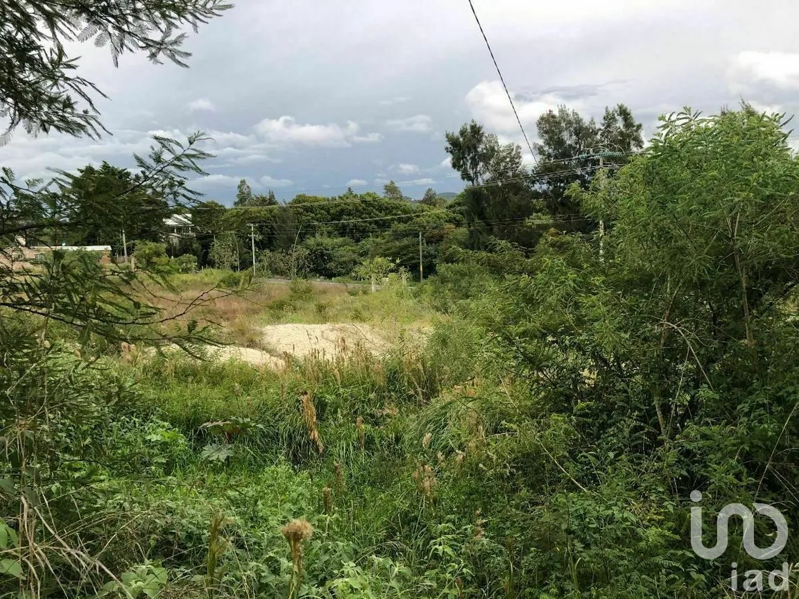 Terreno en Renta en Chichima Guadalupe, Comitán de Domínguez, Chiapas | NEX-270294 | iad México | Foto 16 de 17