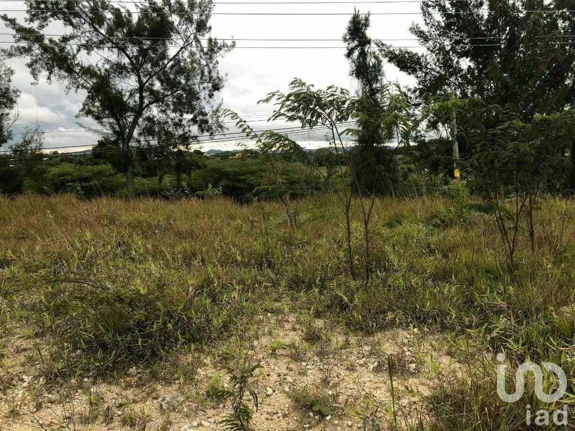 Terreno en Renta en Chichima Guadalupe, Comitán de Domínguez, Chiapas | NEX-270294 | iad México | Foto 17 de 17