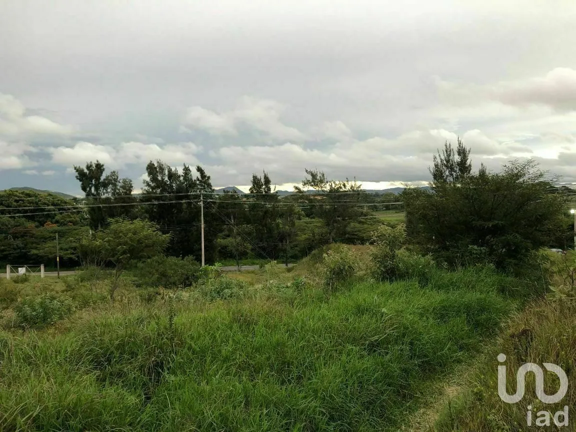 Terreno en Renta en Chichima Guadalupe, Comitán de Domínguez, Chiapas | NEX-270294 | iad México | Foto 9 de 17