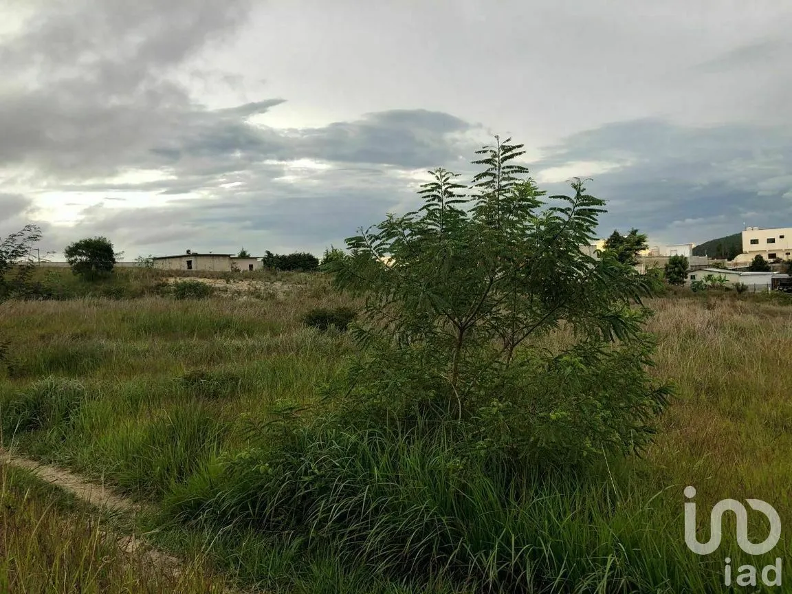 Terreno en Renta en Chichima Guadalupe, Comitán de Domínguez, Chiapas | NEX-270294 | iad México | Foto 10 de 17