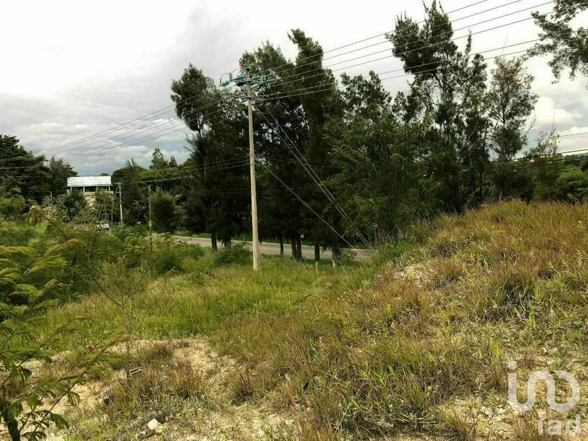 Terreno en Venta en Chichima Guadalupe, Comitán de Domínguez, Chiapas | NEX-270295 | iad México | Foto 12 de 17