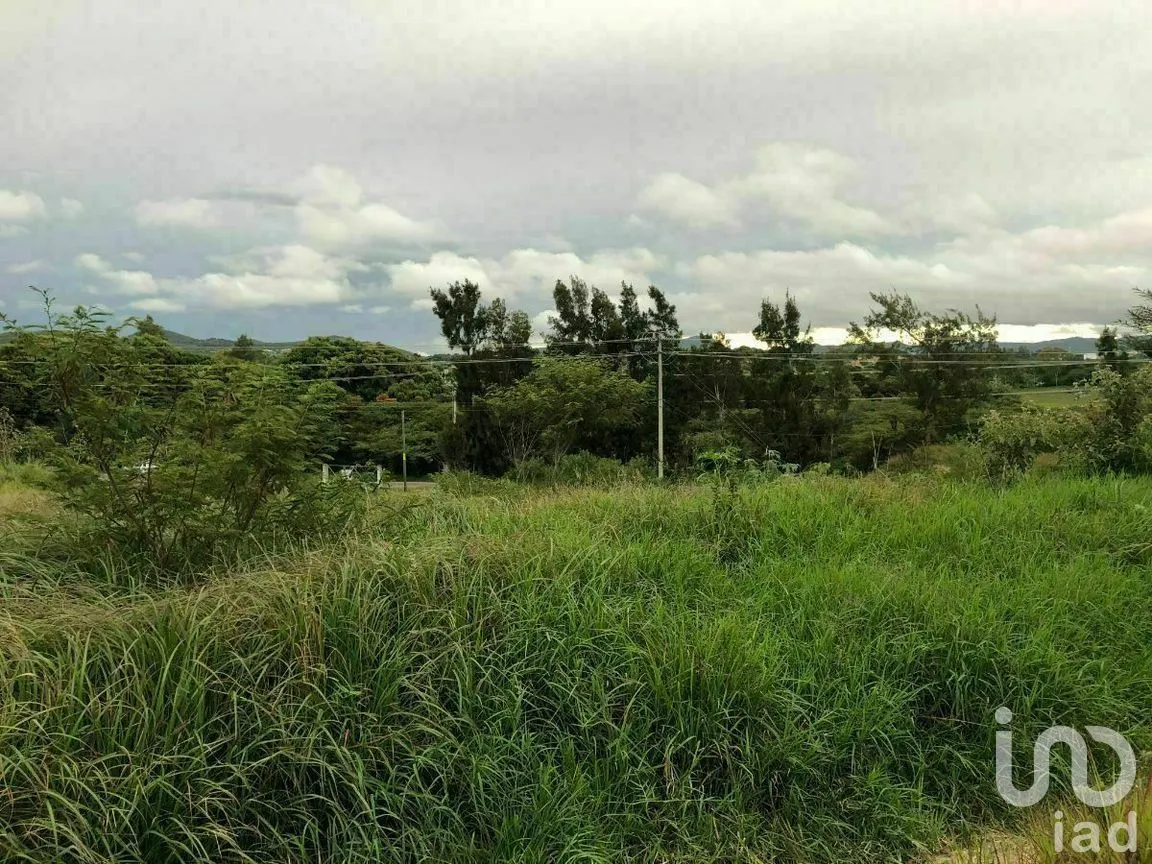 Terreno en Venta en Chichima Guadalupe, Comitán de Domínguez, Chiapas | NEX-270295 | iad México | Foto 14 de 17