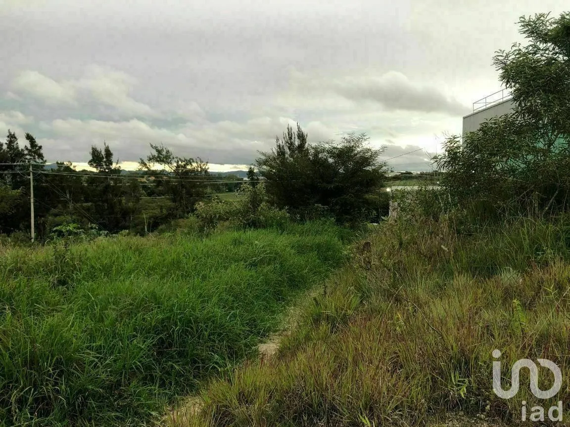 Terreno en Venta en Chichima Guadalupe, Comitán de Domínguez, Chiapas | NEX-270295 | iad México | Foto 15 de 17