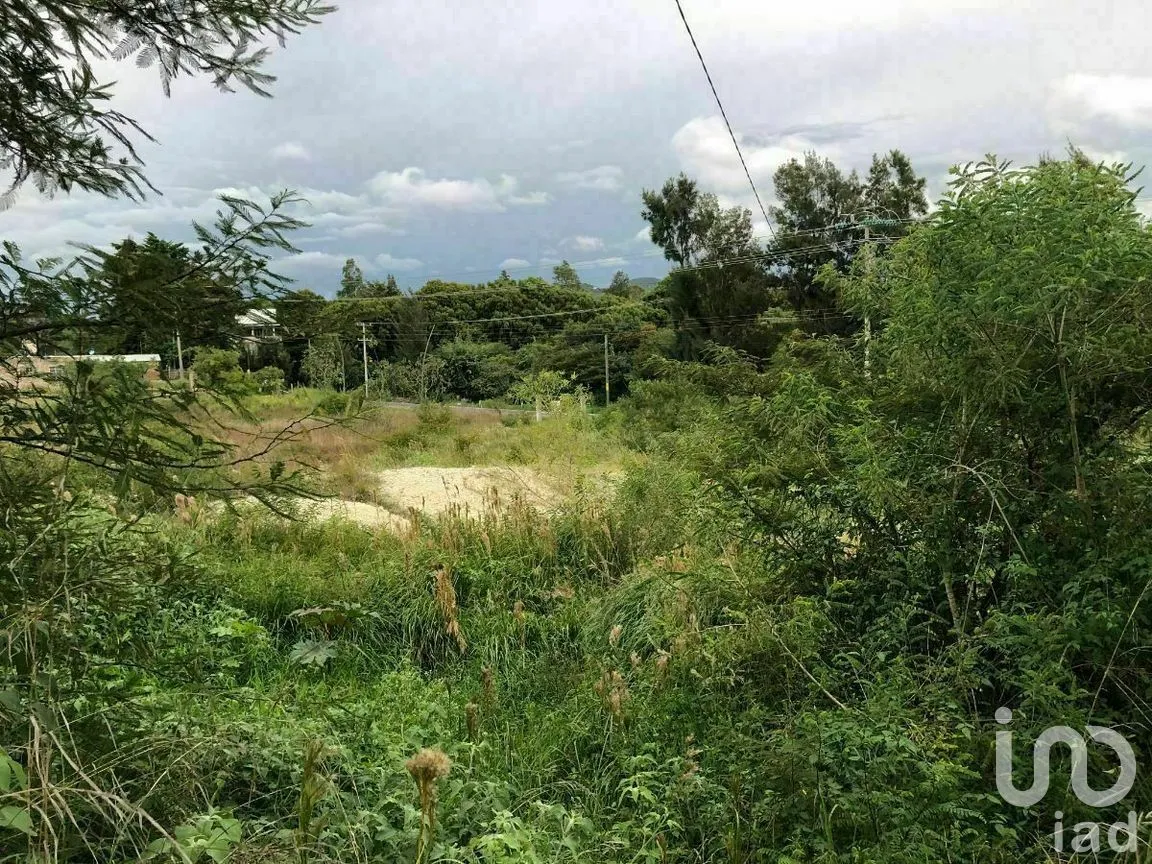 Terreno en Venta en Chichima Guadalupe, Comitán de Domínguez, Chiapas | NEX-270295 | iad México | Foto 16 de 17