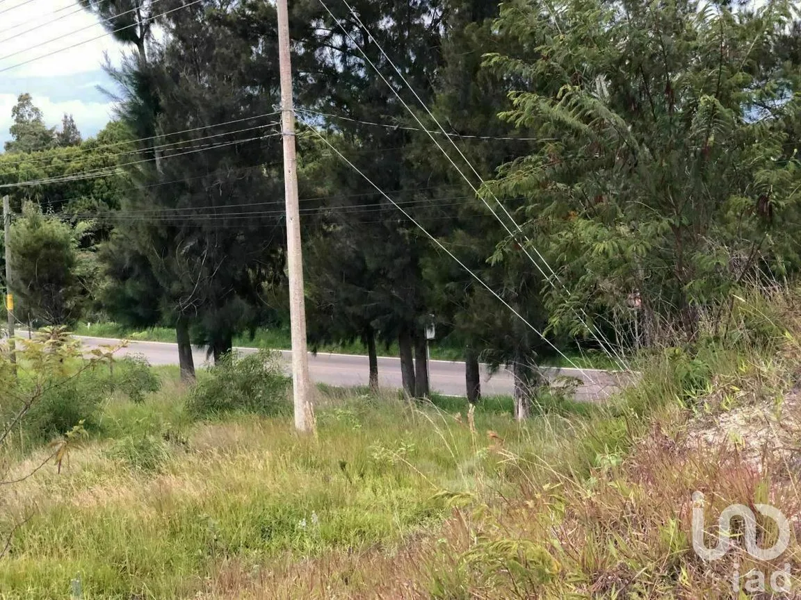 Terreno en Venta en Chichima Guadalupe, Comitán de Domínguez, Chiapas | NEX-270295 | iad México | Foto 7 de 17