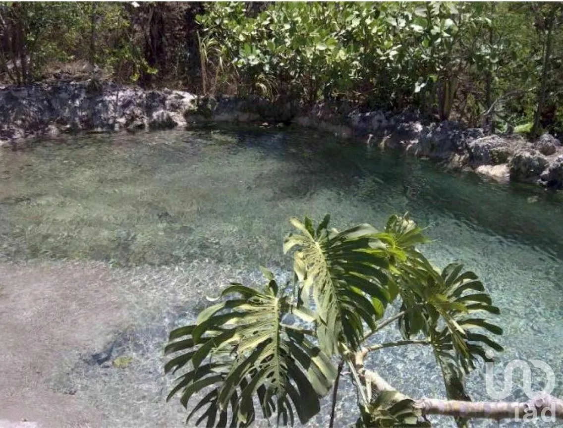 Terreno en Venta en San Francisco, Comitán de Domínguez, Chiapas | NEX-270296 | iad México | Foto 4 de 12