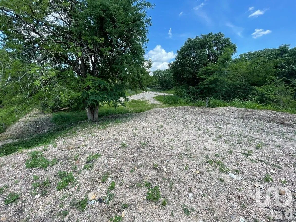 Terreno en Venta en Rivera Cupia, Chiapa de Corzo, Chiapas | NEX-270298 | iad México | Foto 13 de 20