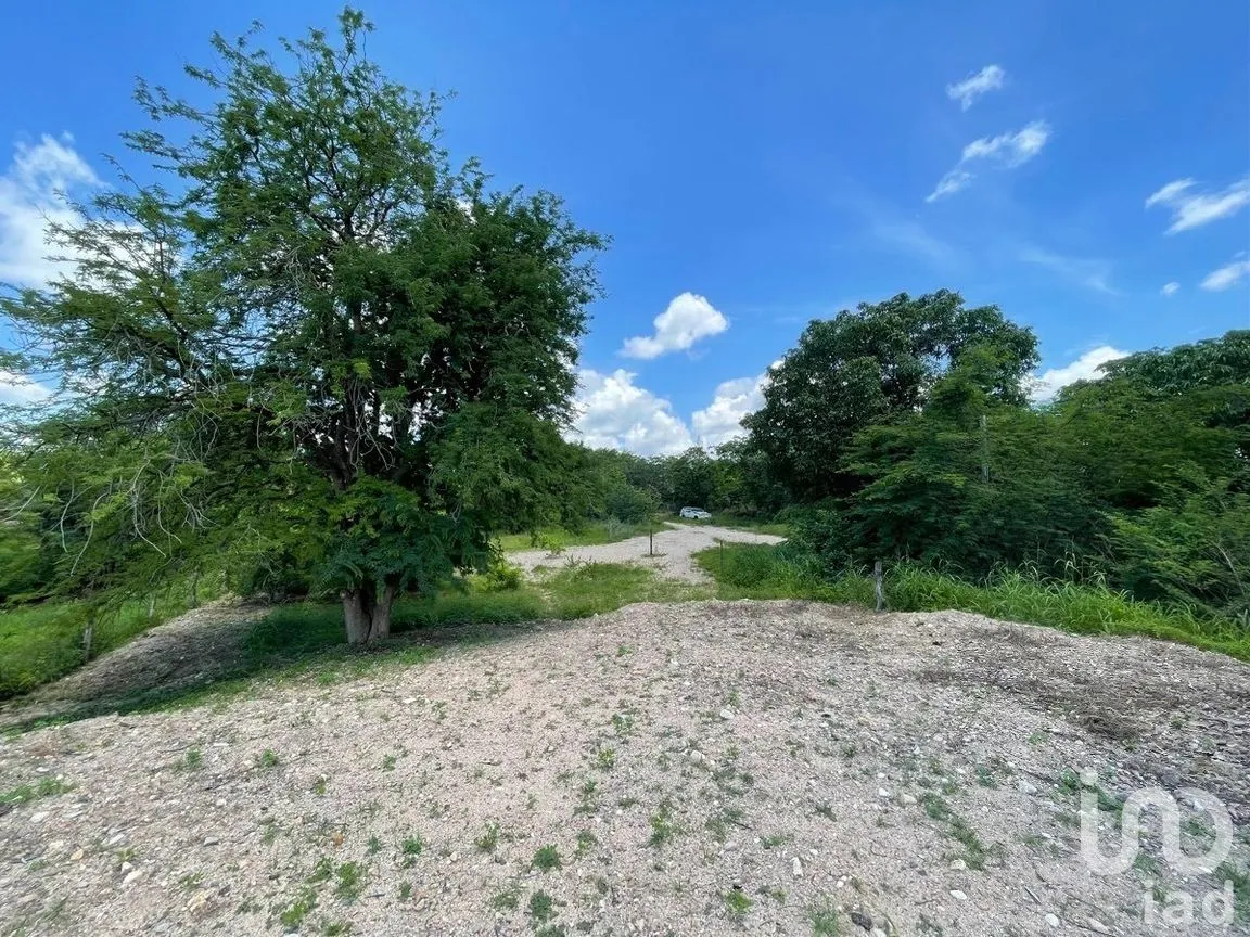 Terreno en Venta en Rivera Cupia, Chiapa de Corzo, Chiapas | NEX-270298 | iad México | Foto 14 de 20