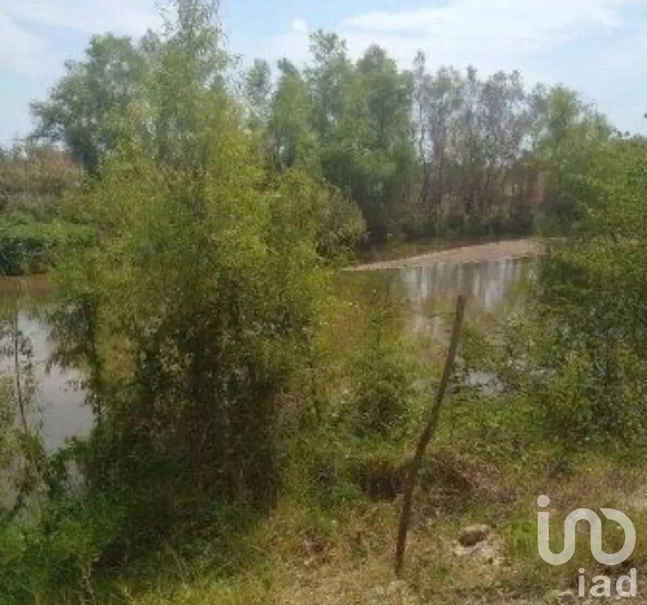 Terreno en Venta en Rivera Cupia, Chiapa de Corzo, Chiapas | NEX-270298 | iad México | Foto 19 de 20