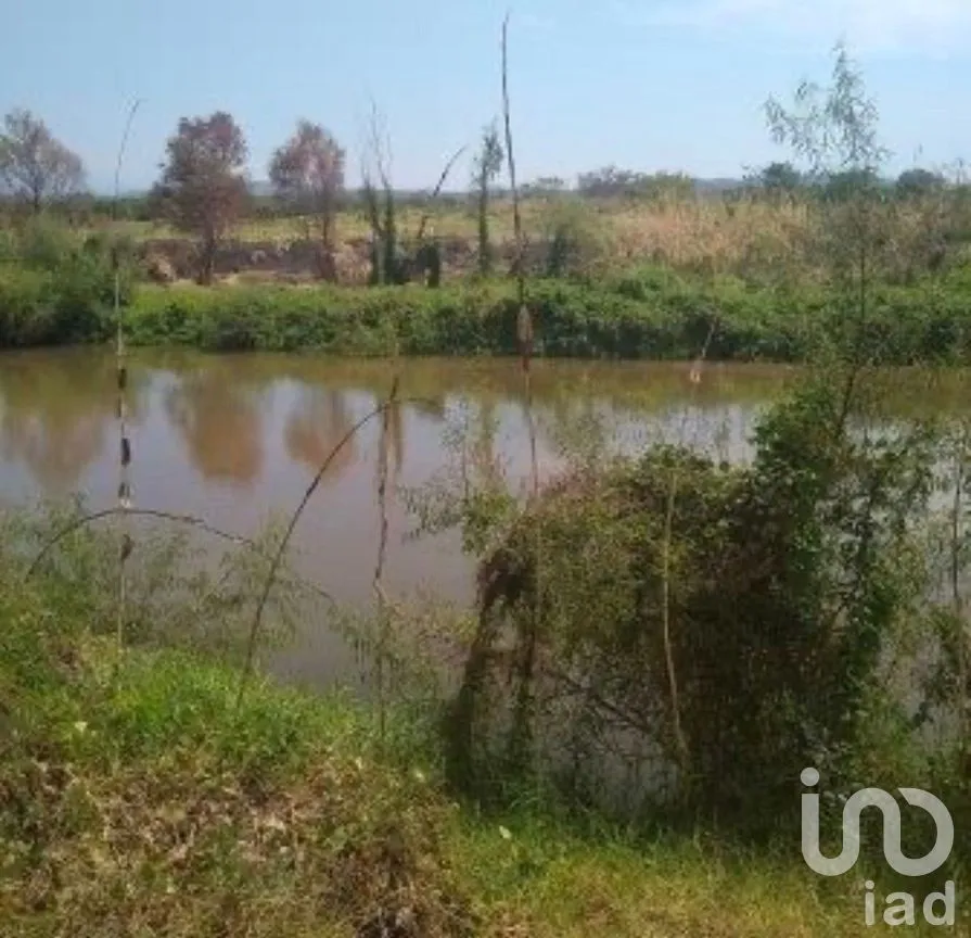 Terreno en Venta en Rivera Cupia, Chiapa de Corzo, Chiapas | NEX-270298 | iad México | Foto 20 de 20