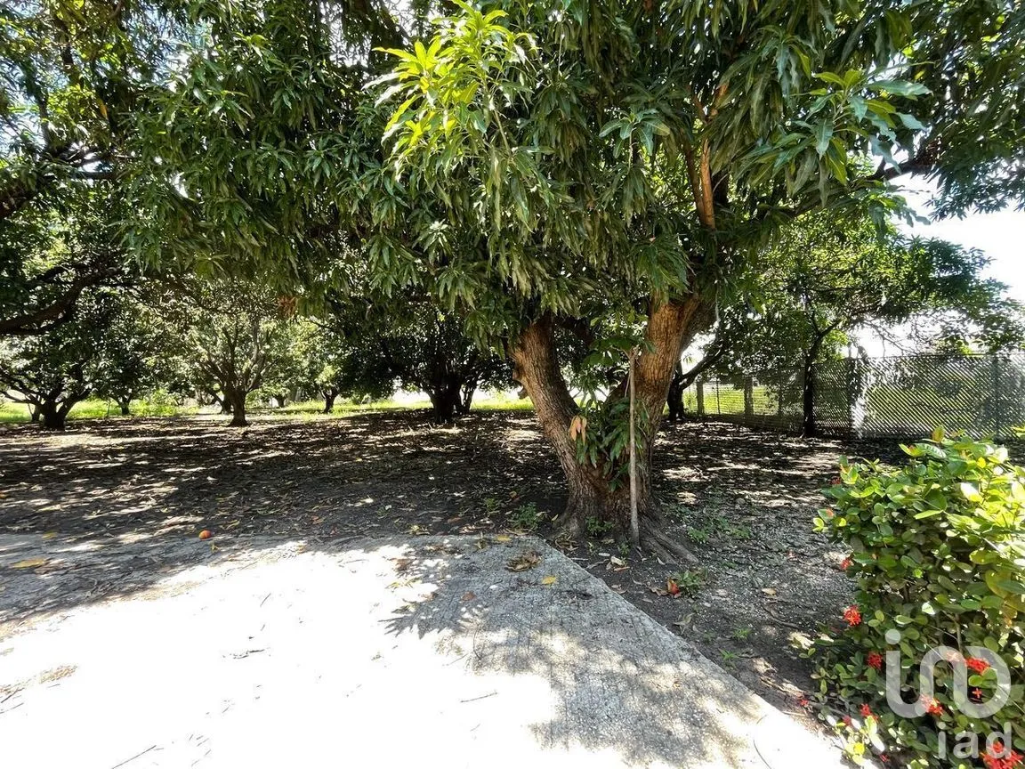 Terreno en Renta en José Castillo Tielemans, Tuxtla Gutiérrez, Chiapas | NEX-270301 | iad México | Foto 4 de 18