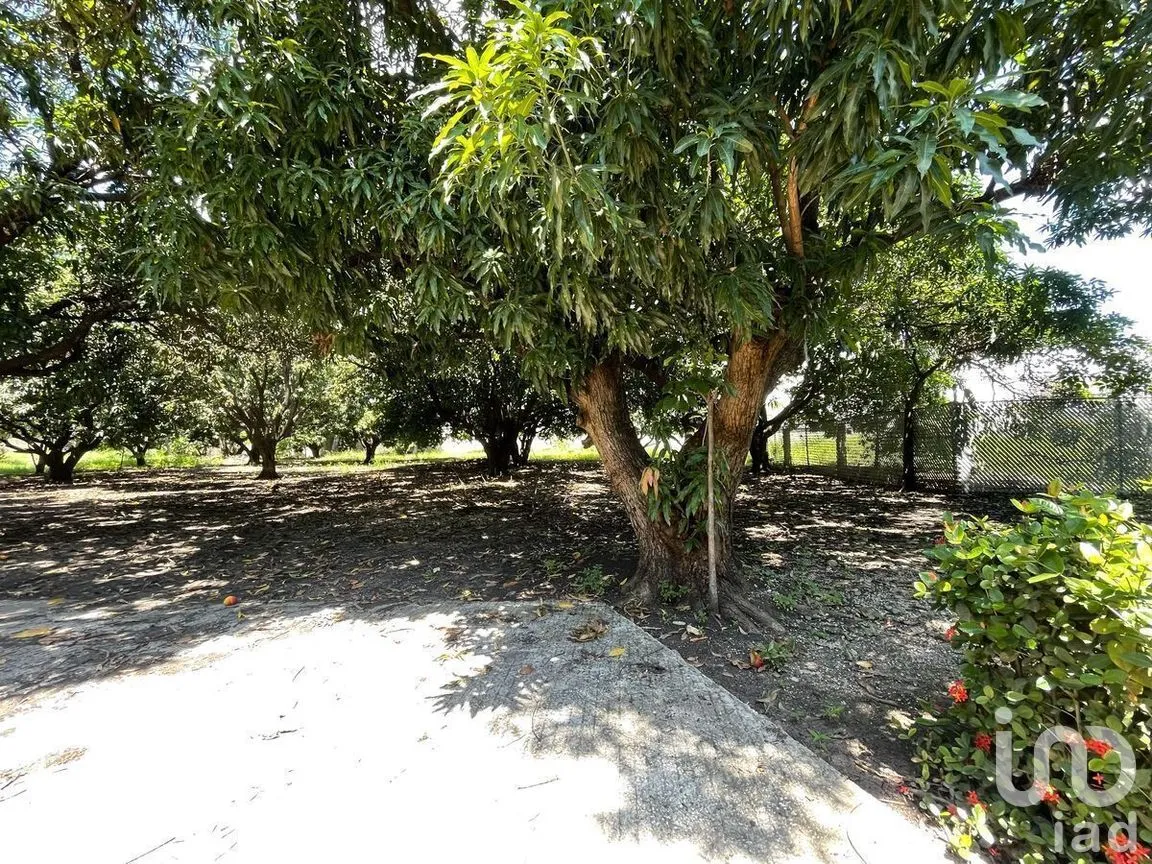 Terreno en Renta en José Castillo Tielemans, Tuxtla Gutiérrez, Chiapas | NEX-270303 | iad México | Foto 4 de 18