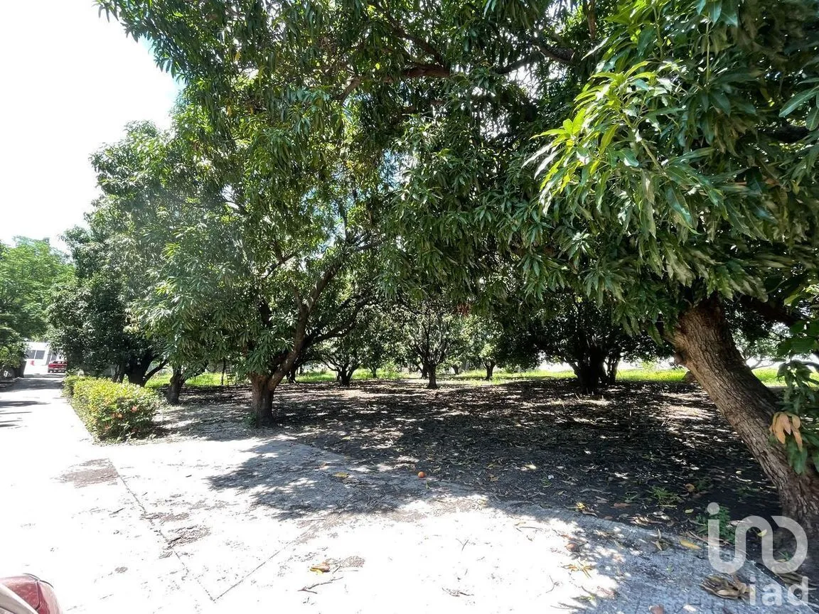 Terreno en Renta en José Castillo Tielemans, Tuxtla Gutiérrez, Chiapas | NEX-270303 | iad México | Foto 6 de 18