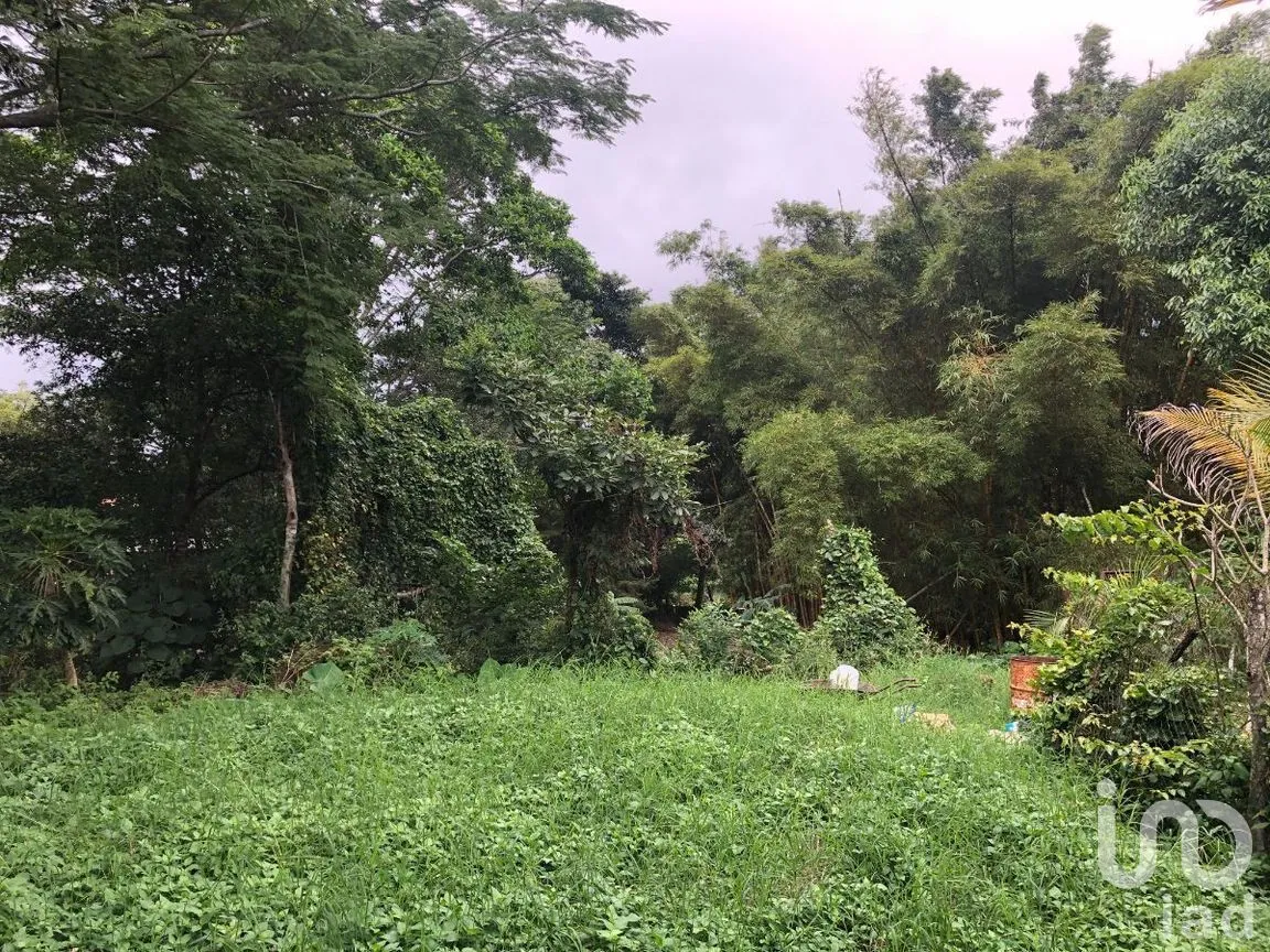 Terreno en Venta en Plan de Ayala, Tuxtla Gutiérrez, Chiapas | NEX-270307 | iad México | Foto 15 de 22