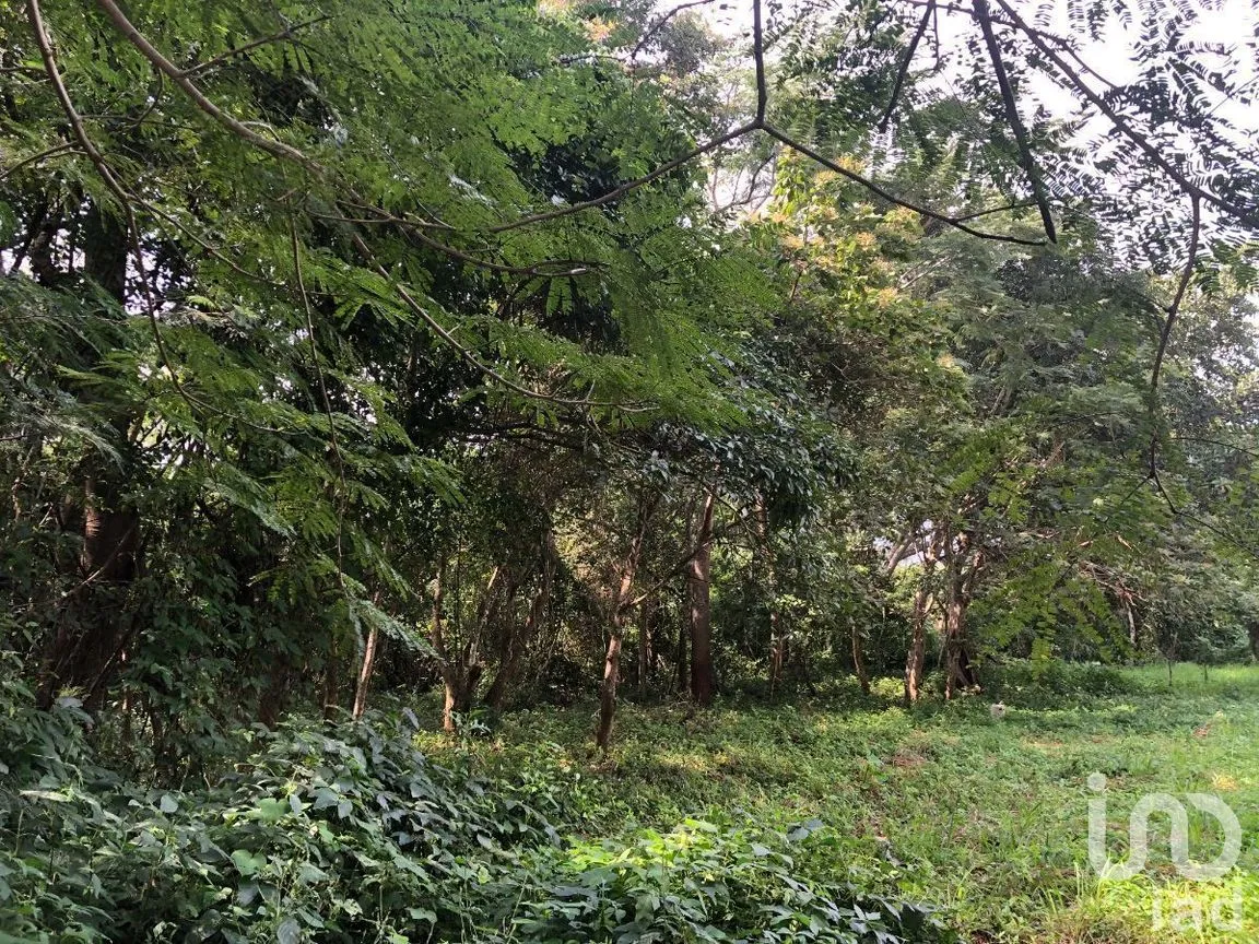 Terreno en Venta en Plan de Ayala, Tuxtla Gutiérrez, Chiapas | NEX-270307 | iad México | Foto 16 de 22
