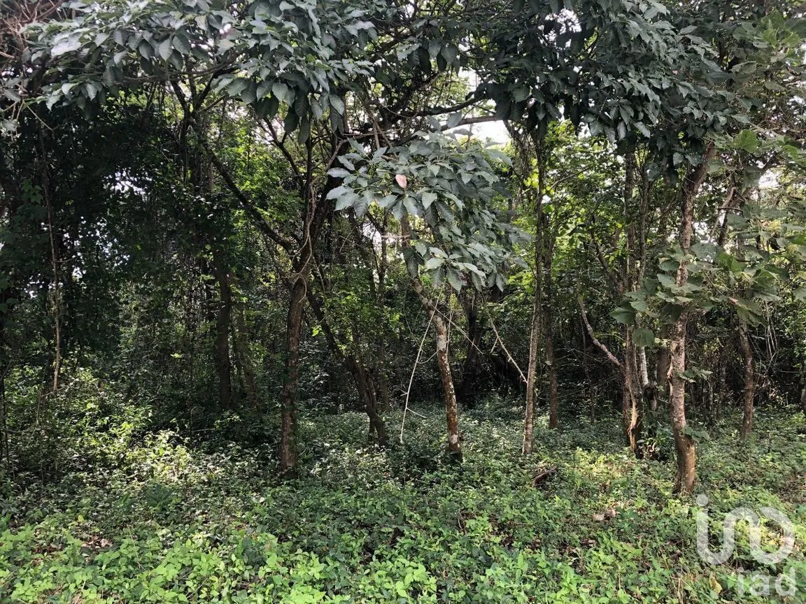 Terreno en Venta en Plan de Ayala, Tuxtla Gutiérrez, Chiapas | NEX-270307 | iad México | Foto 17 de 22