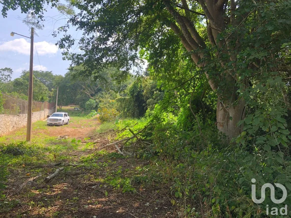 Terreno en Venta en Plan de Ayala, Tuxtla Gutiérrez, Chiapas | NEX-270307 | iad México | Foto 3 de 22