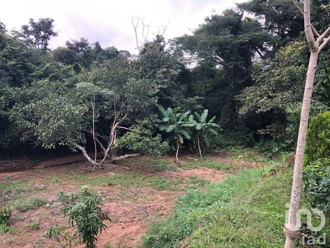 Terreno en Venta en Plan de Ayala, Tuxtla Gutiérrez, Chiapas | NEX-270307 | iad México | Foto 6 de 22