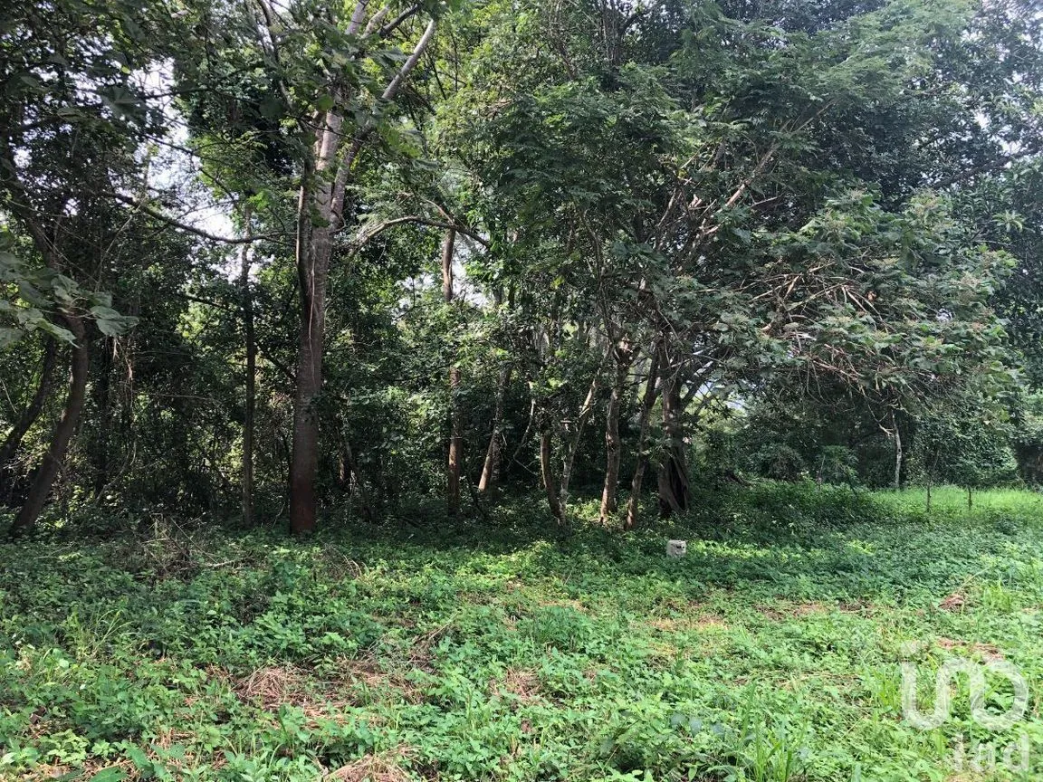 Terreno en Venta en Plan de Ayala, Tuxtla Gutiérrez, Chiapas | NEX-270307 | iad México | Foto 7 de 22
