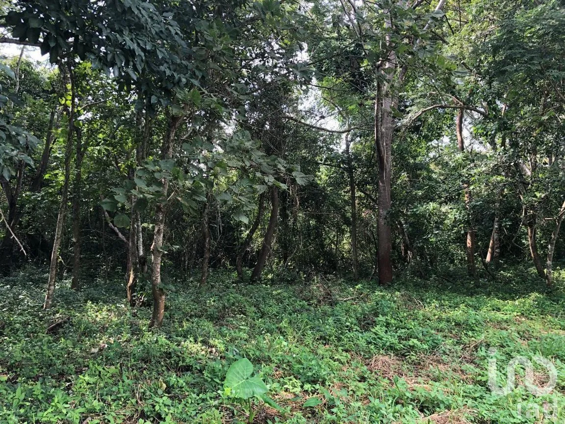 Terreno en Venta en Plan de Ayala, Tuxtla Gutiérrez, Chiapas | NEX-270307 | iad México | Foto 8 de 22