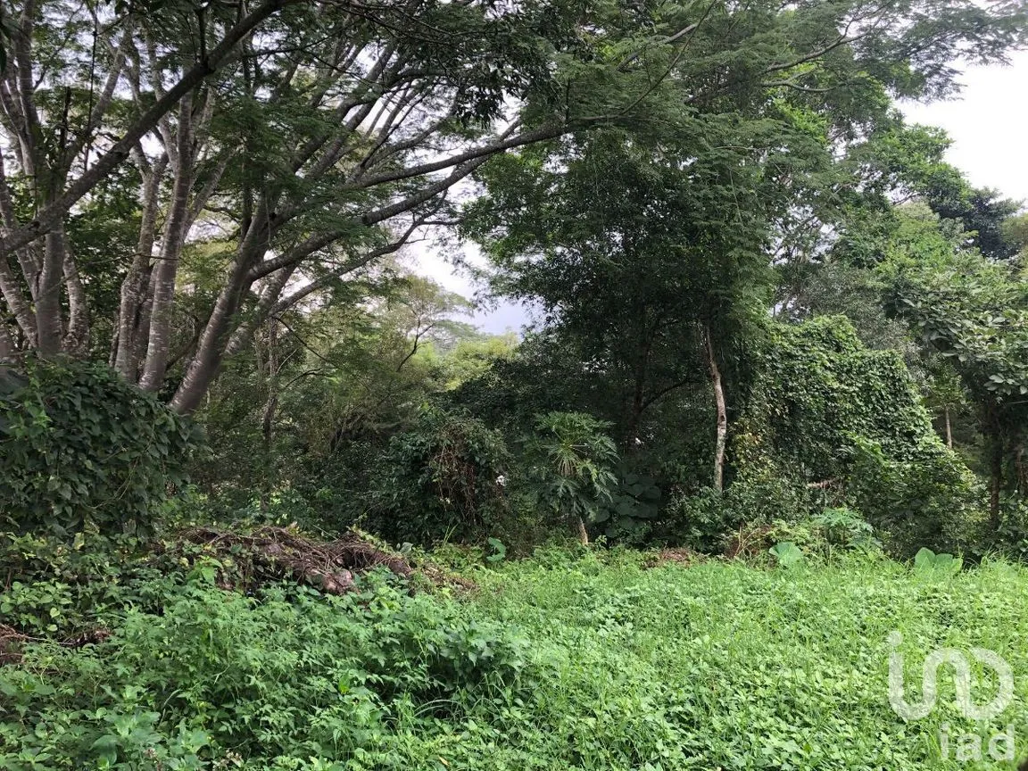 Terreno en Venta en Plan de Ayala, Tuxtla Gutiérrez, Chiapas | NEX-270307 | iad México | Foto 9 de 22