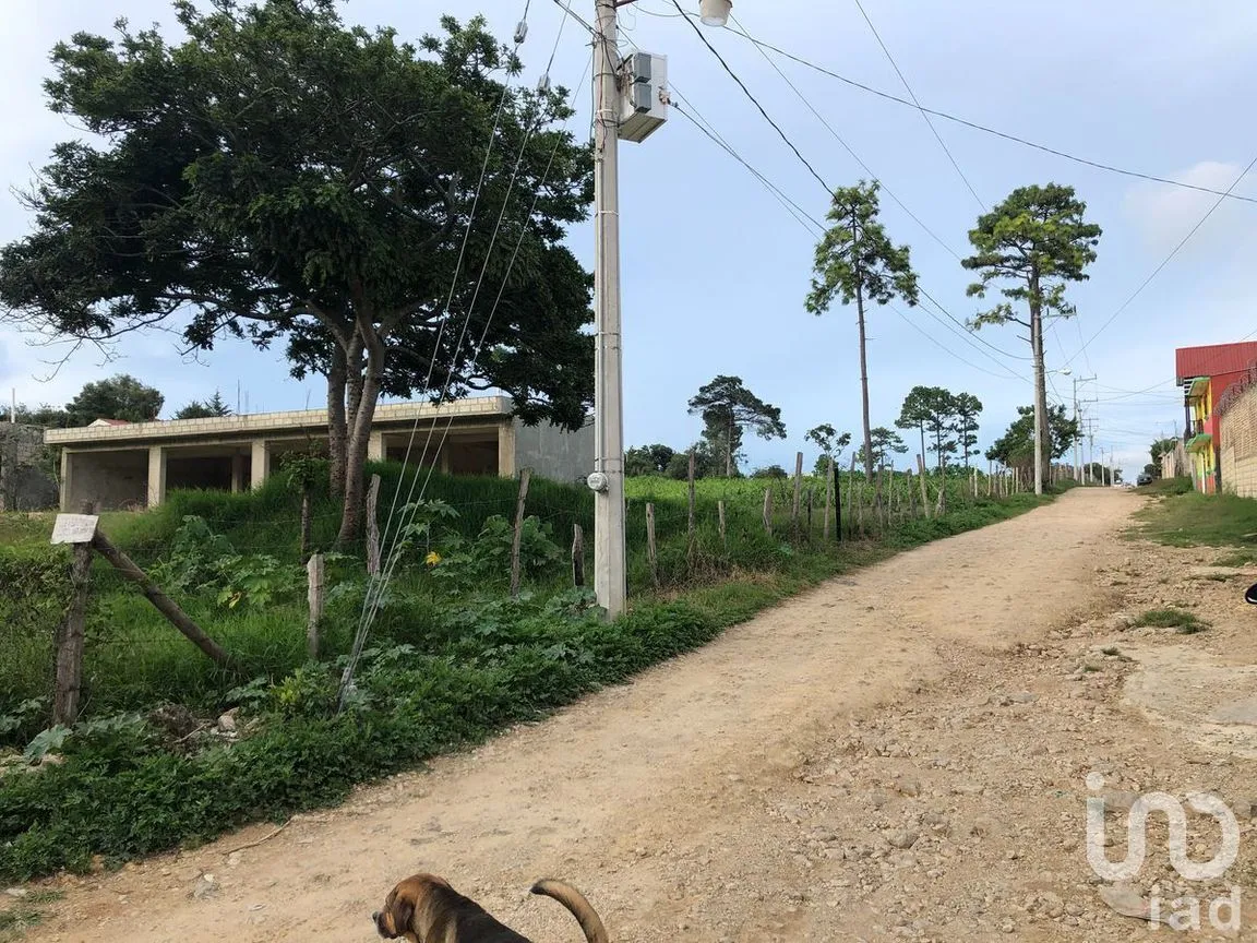 Terreno en Venta en Chichima Guadalupe, Comitán de Domínguez, Chiapas | NEX-270317 | iad México | Foto 11 de 12