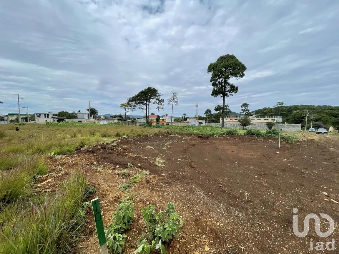Terreno en Venta en Chichima Guadalupe, Comitán de Domínguez, Chiapas | NEX-270317 | iad México | Foto 3 de 12