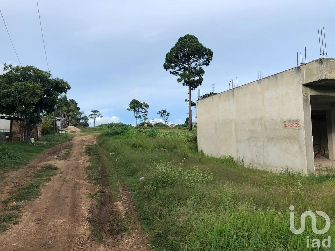 Terreno en Venta en Chichima Guadalupe, Comitán de Domínguez, Chiapas | NEX-270317 | iad México | Foto 4 de 12