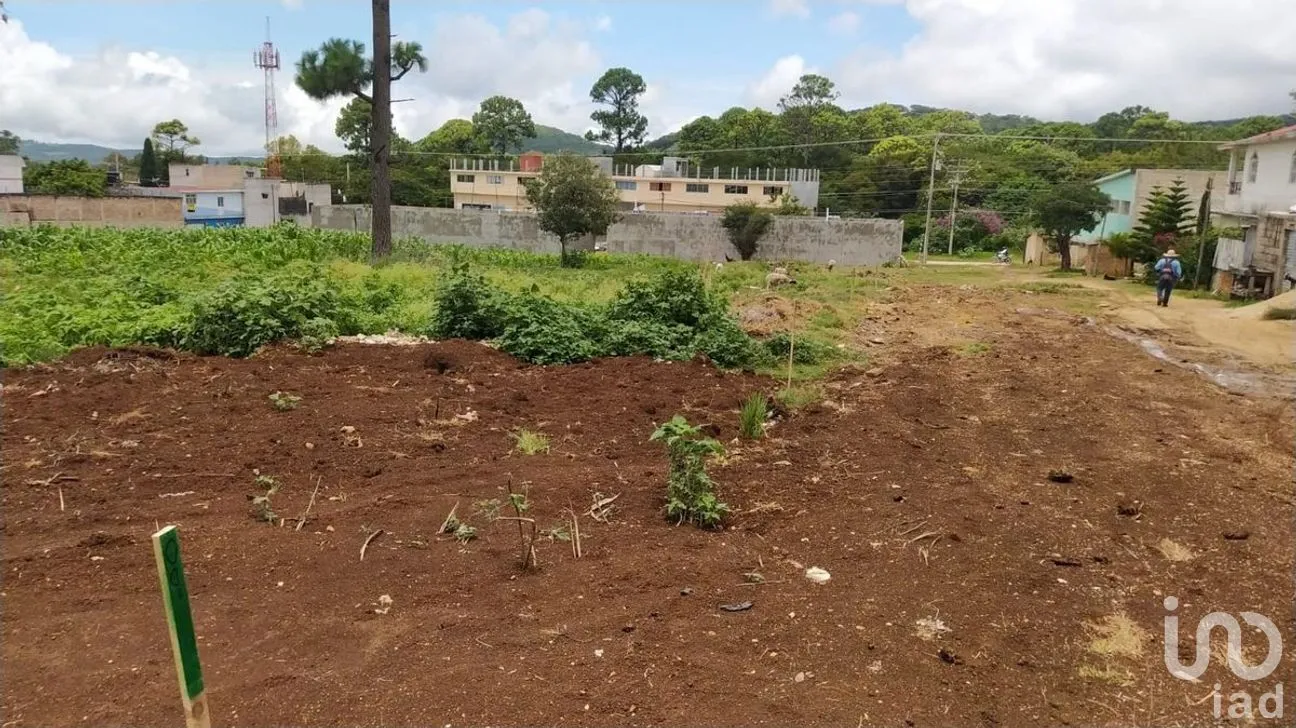 Terreno en Venta en Chichima Guadalupe, Comitán de Domínguez, Chiapas | NEX-270317 | iad México | Foto 7 de 12