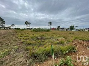 NEX-270317 - Terreno en Venta en Chichima Guadalupe, CP 30093, Chiapas.