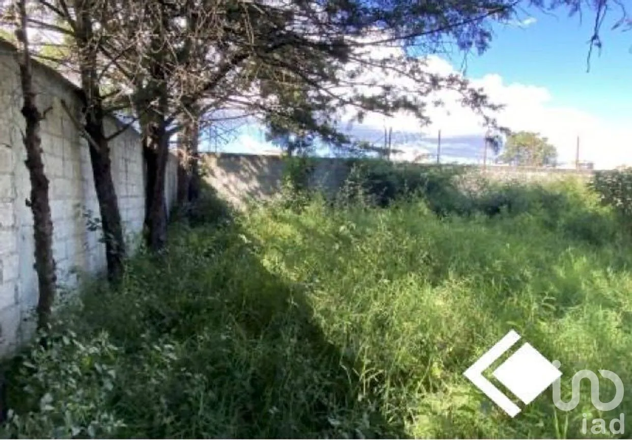 Casa en Venta en Las Flores, Comitán de Domínguez, Chiapas | NEX-270319 | iad México | Foto 14 de 19