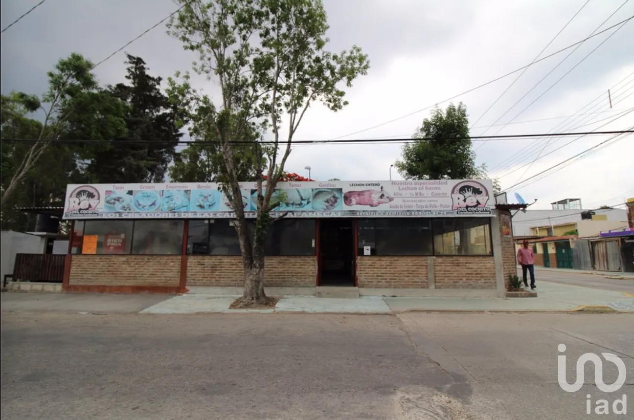 Terreno en Renta en Nicalocok, Comitán de Domínguez, Chiapas | NEX-270328 | iad México | Foto 2 de 7