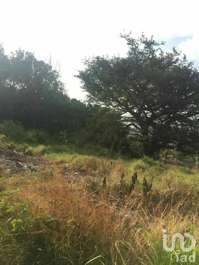 Terreno en Venta en Tenam, Comitán de Domínguez, Chiapas | NEX-277921 | iad México | Foto 4 de 10