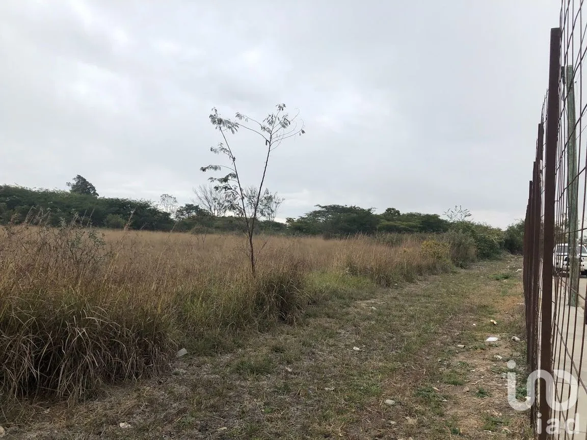 Terreno en Venta en Jatón, Comitán de Domínguez, Chiapas | NEX-282480 | iad México | Foto 12 de 33