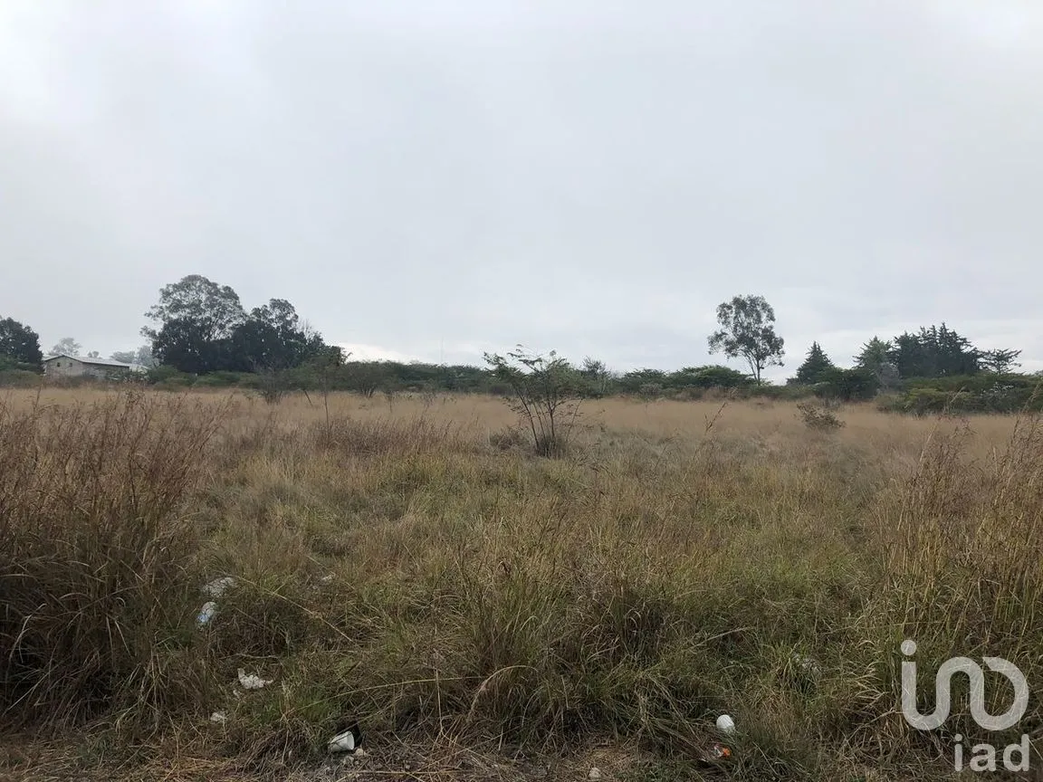 Terreno en Venta en Jatón, Comitán de Domínguez, Chiapas | NEX-282480 | iad México | Foto 13 de 33