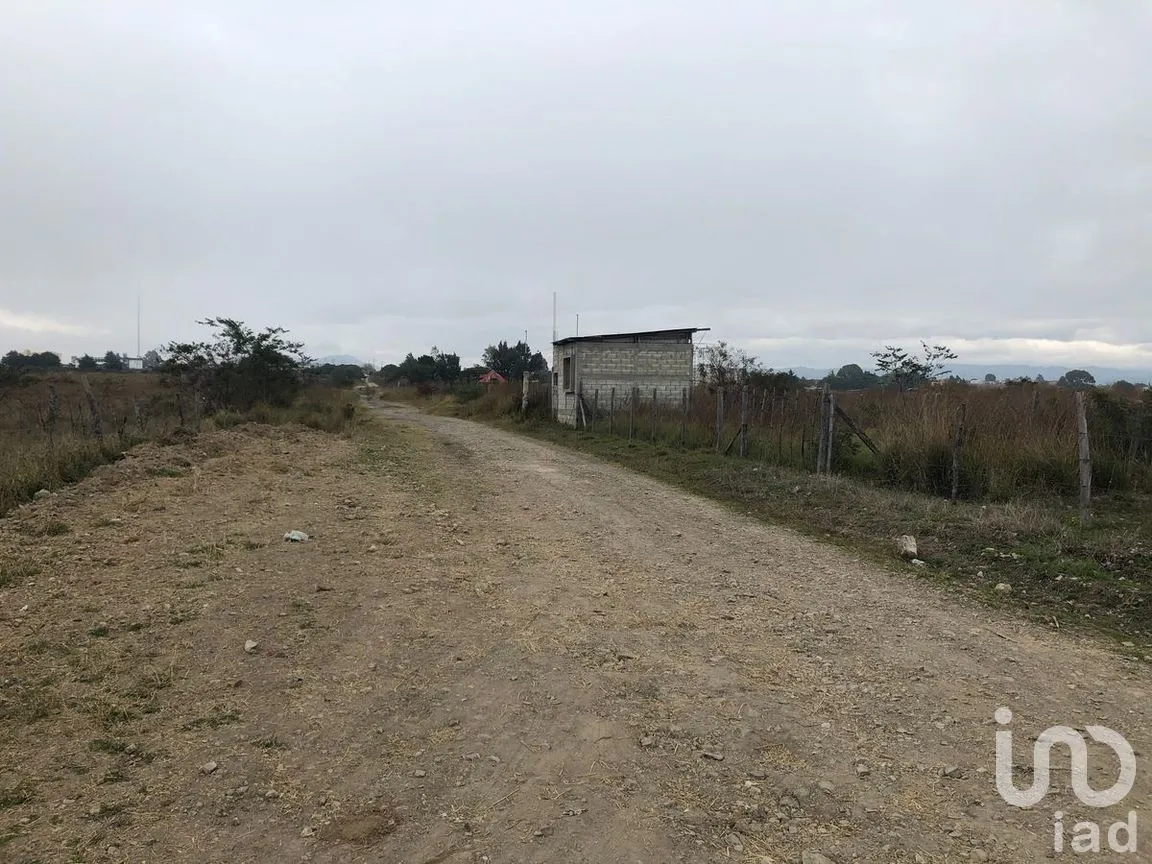 Terreno en Venta en Jatón, Comitán de Domínguez, Chiapas | NEX-282480 | iad México | Foto 16 de 33