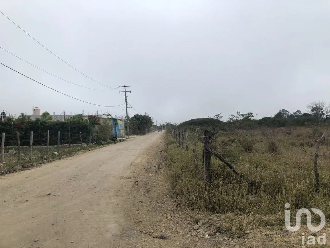 Terreno en Venta en Jatón, Comitán de Domínguez, Chiapas | NEX-282480 | iad México | Foto 17 de 33