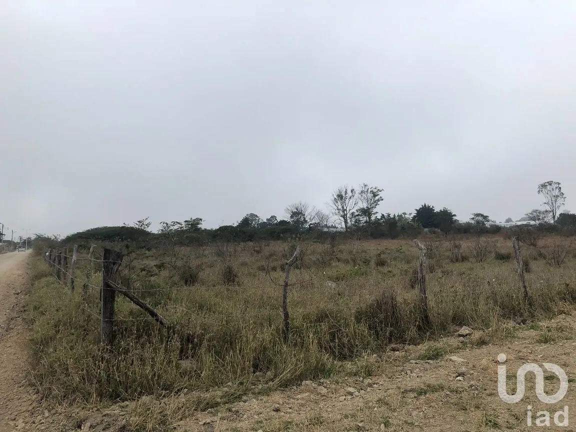 Terreno en Venta en Jatón, Comitán de Domínguez, Chiapas | NEX-282480 | iad México | Foto 18 de 33