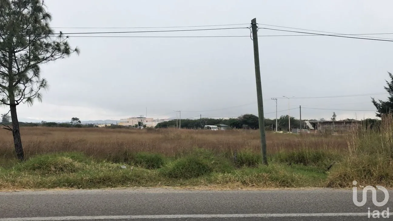 Terreno en Venta en Jatón, Comitán de Domínguez, Chiapas | NEX-282480 | iad México | Foto 19 de 33