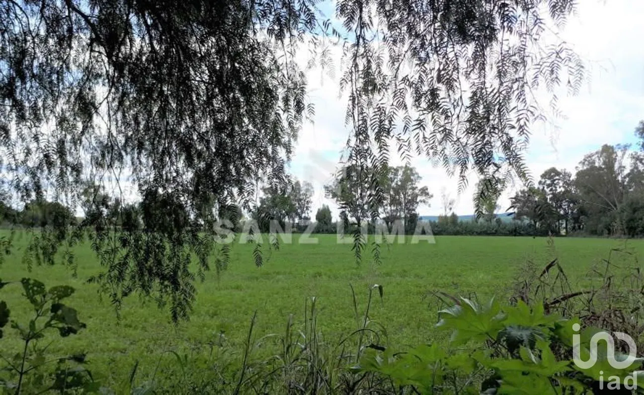 Terreno en Venta en San Isidro de la Concepción, Celaya, Guanajuato | NEX-266487 | iad México | Foto 11 de 16