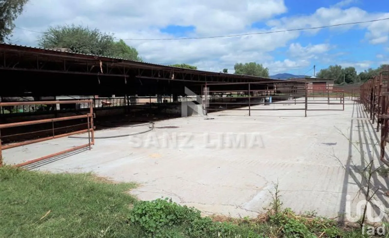 Terreno en Venta en San Isidro de la Concepción, Celaya, Guanajuato | NEX-266487 | iad México | Foto 3 de 16