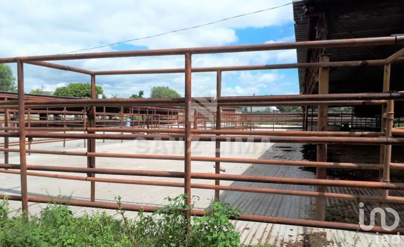 Terreno en Venta en San Isidro de la Concepción, Celaya, Guanajuato | NEX-266487 | iad México | Foto 4 de 16