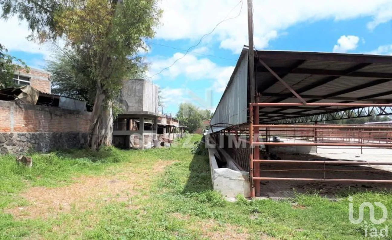 Terreno en Venta en San Isidro de la Concepción, Celaya, Guanajuato | NEX-266487 | iad México | Foto 5 de 16