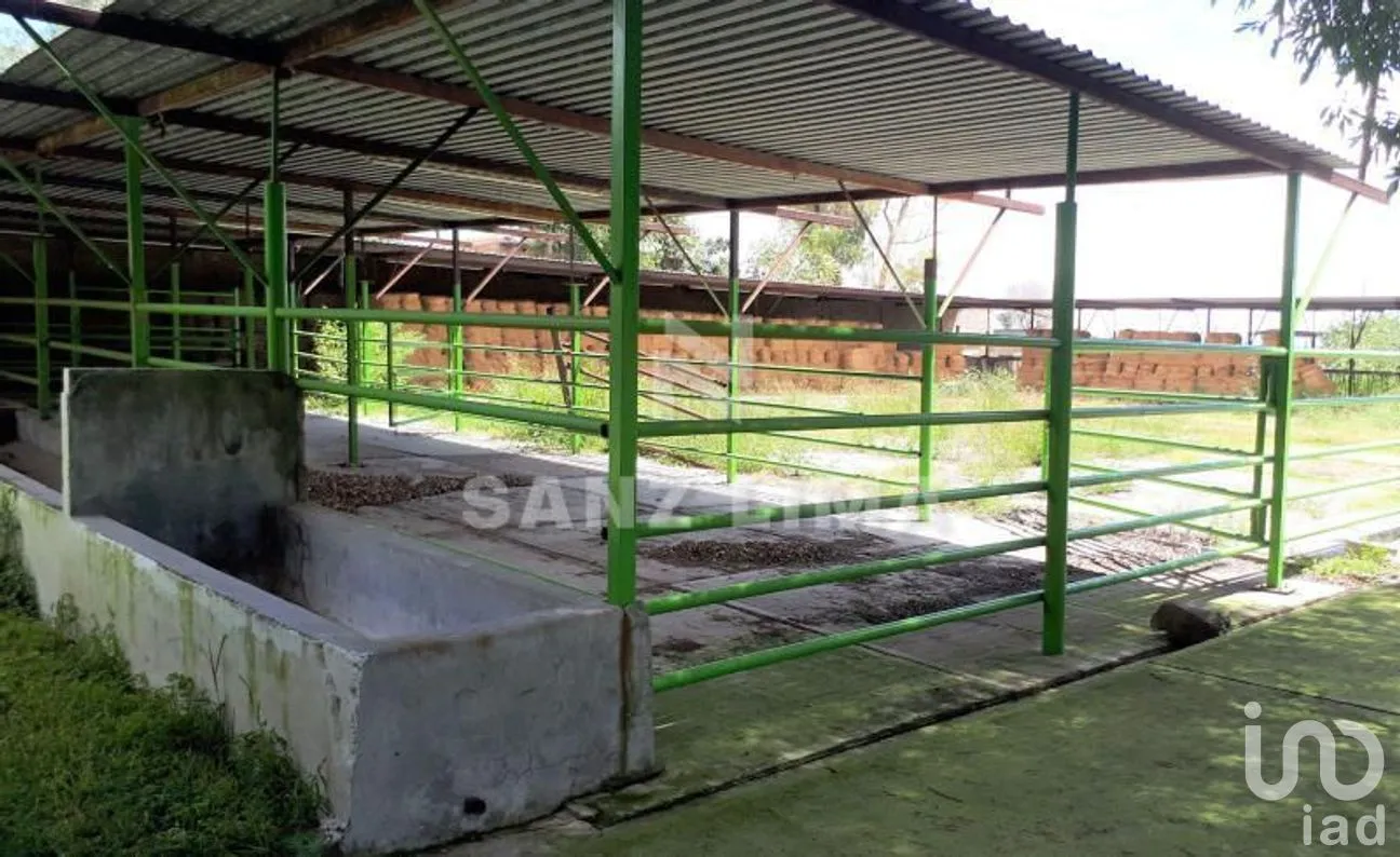 Terreno en Venta en San Isidro de la Concepción, Celaya, Guanajuato | NEX-266487 | iad México | Foto 10 de 16