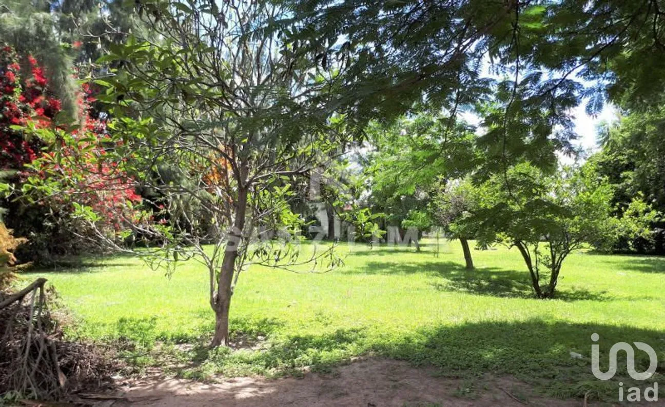 Terreno en Venta en San Isidro de la Concepción, Celaya, Guanajuato | NEX-266487 | iad México | Foto 1 de 16